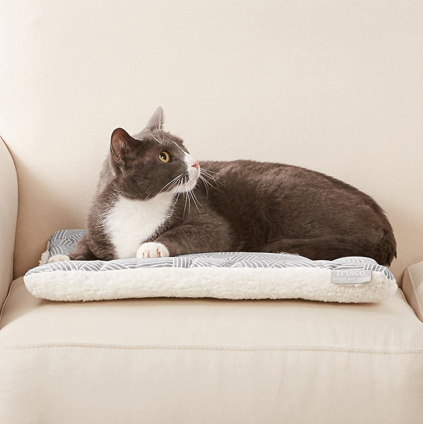 Nababaligtad na Cat Pad