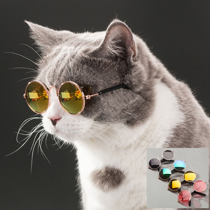 Cool Cat Glasses